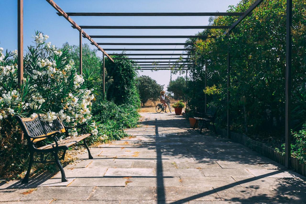 Monte Do Colmeal - Country House & Wine Pension Mourão Buitenkant foto