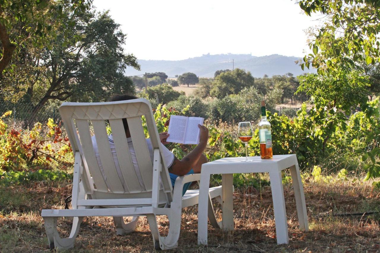 Monte Do Colmeal - Country House & Wine Pension Mourão Buitenkant foto